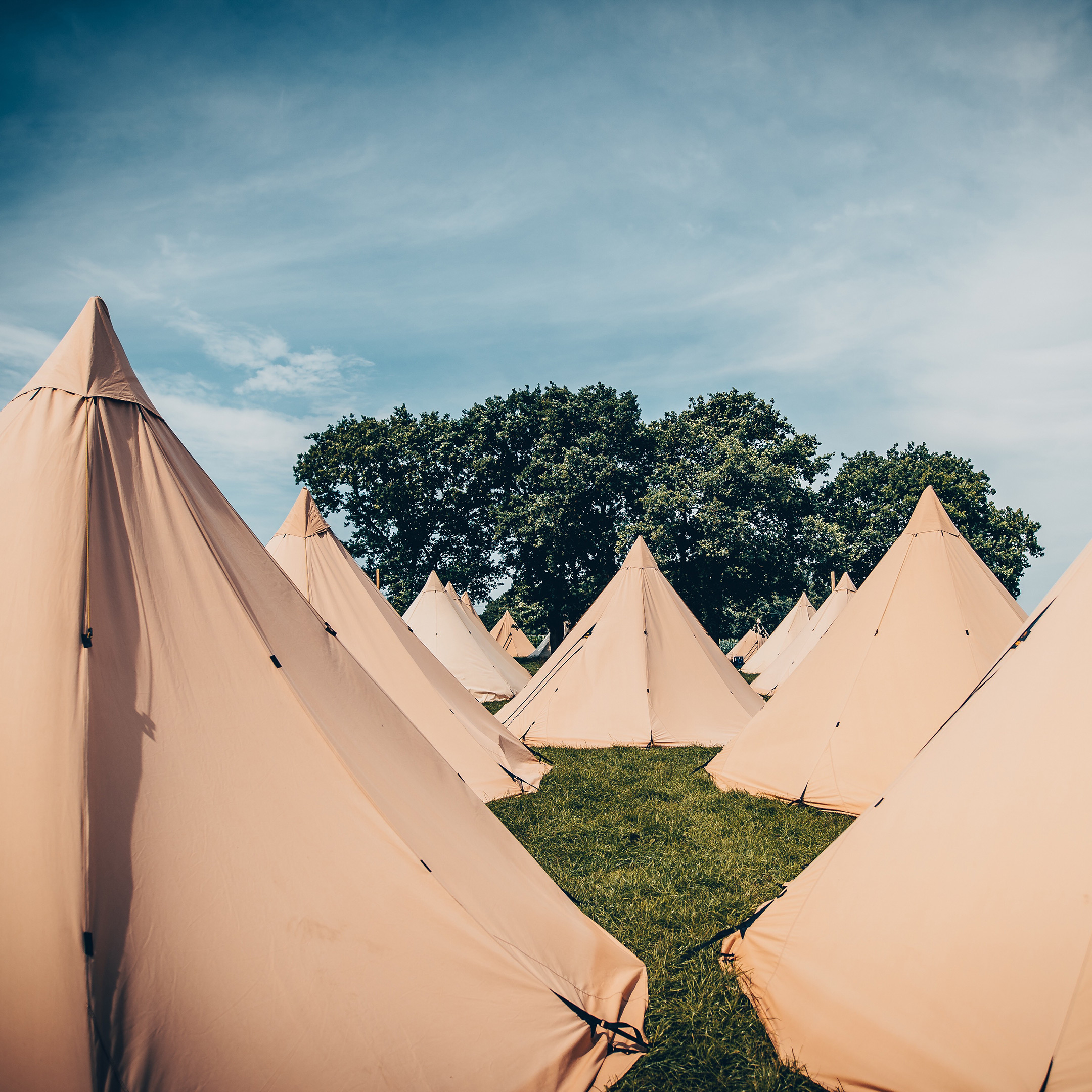 Fuchsbau Tipi - Elbenwald Festival 2023
