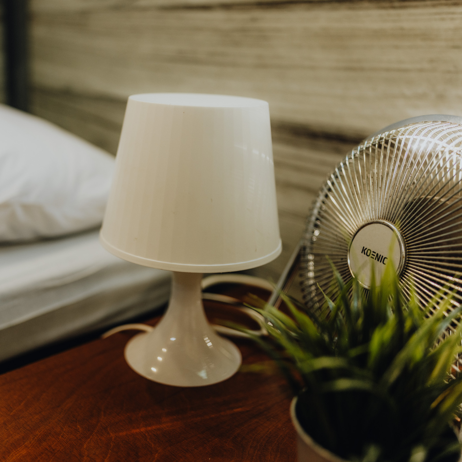 Halblingshöhle für zwei - Elbenwald Festival 2026