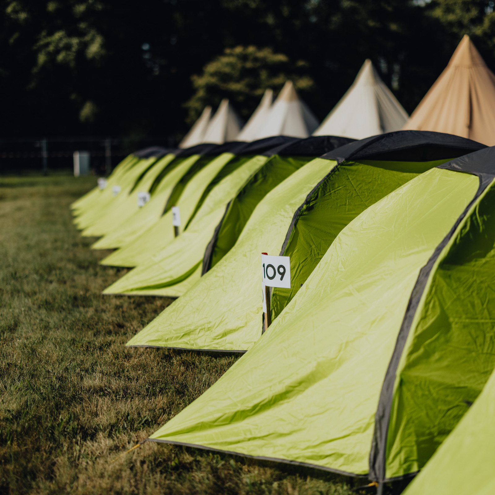 Zelt für dich - Elbenwald Festival 2026