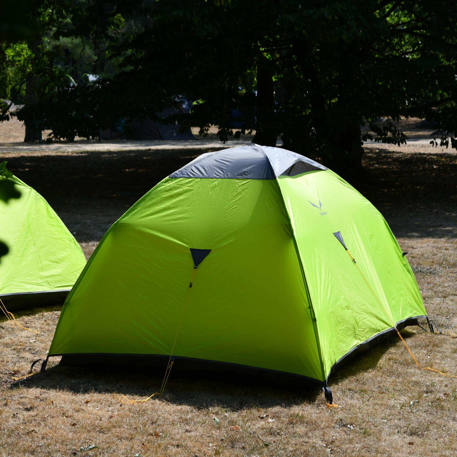 Zelt für dich - Elbenwald Festival 2025