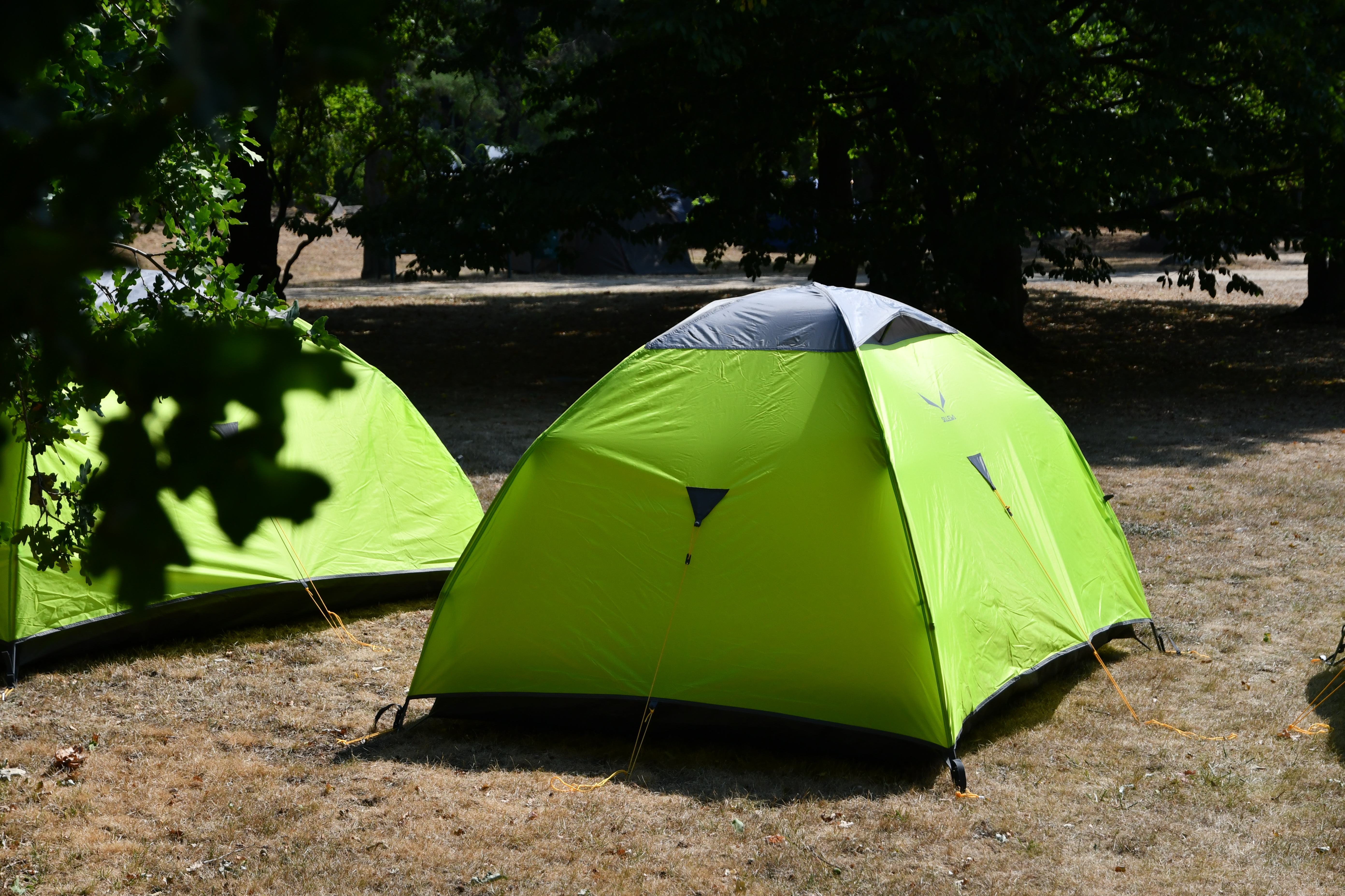 Zelt für dich - Elbenwald Festival 2023